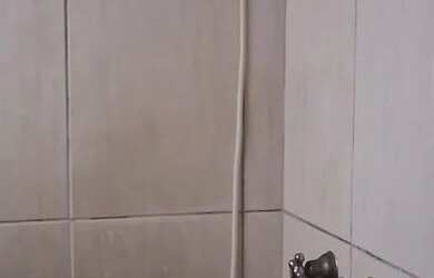 Imagem 11: CASA RESIDENCIAL em São Paulo - SP, Vila Gustavo