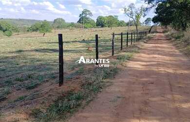 Imagem 5: Fazenda com 20 HECTARES à venda na área rural de Uberlândia