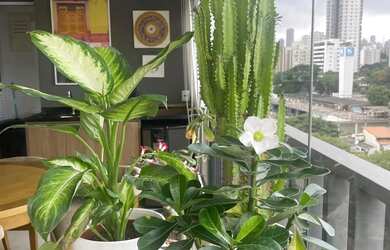 Imagem 6: Apartamento para aluguel tem 98 metros quadrados com 3 quartos em Pinheiros - São Paulo