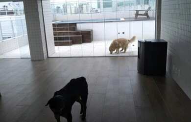 Imagem 7: Cobertura com 3 dormitórios, 288 m² - venda por R$ 1.750.000,00 ou aluguel...