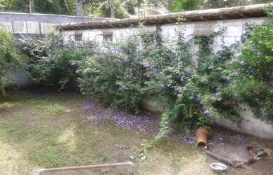 Imagem 2: Sito em rio do ouro