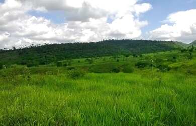 Imagem 14: Fazenda para venda. Com 1.419 ha em Jequitibá - Mundo Novo - BA