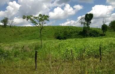 Imagem 7: Fazenda para venda. Com 1.419 ha em Jequitibá - Mundo Novo - BA