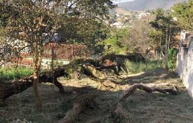 Imagem: O terreno possui 372m² de Área e está localizado em Jardim