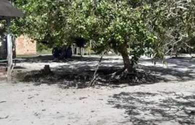 Imagem 16: Manaus Itacoatiara, AM 010 Km 32, Ramal Água Preta S/N