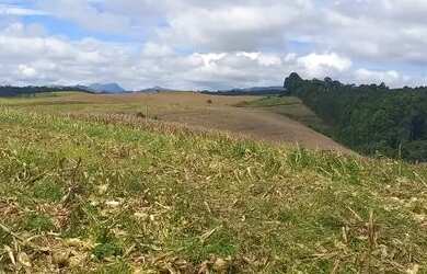 Imagem 13: Fazenda em Cruzilia. 