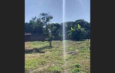 Imagem 16: Aluguel Chácara Elza Fronza