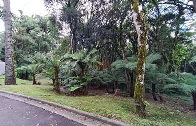 Imagem: O terreno possui 1.093m² de Área e está localizado em Gramado