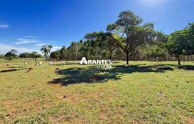 Imagem 10: Fazenda com 20 HECTARES à venda na área rural de Uberlândia