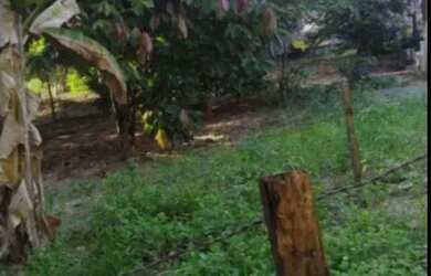 Imagem 2: Vendo sítio em monte gordo