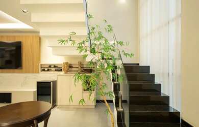 Imagem 15: Casa em condomínio à venda no Pilarzinho ARYA1