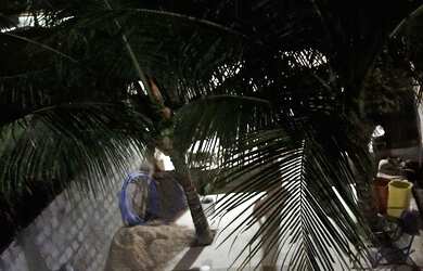 Imagem: A casa possui 4 Dormitórios, 3 Banheiros, 1 Vaga na garagem