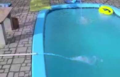 Imagem 7: Vendas ou trocas por carros lanchas jeet etc