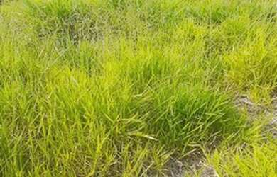 Imagem 4: Terreno em condomínio fechado Villas do Jaguari