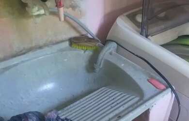 Imagem: O apartamento possui 2 Dormitórios, 1 Banheiro e 45m² de Área