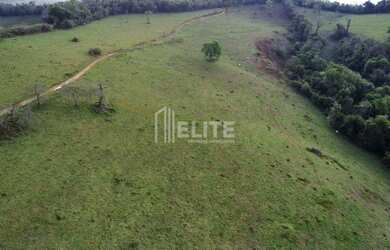 Imagem 7: 300 Hectares à Venda em Área de Plantio