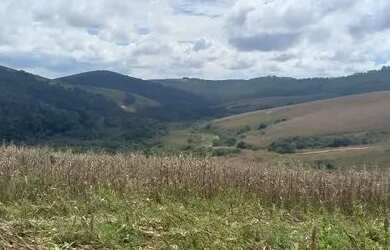 Imagem 2: Fazenda em Cruzilia. 