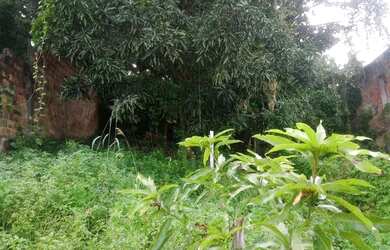 Imagem: A casa possui 1 Dormitório, 1 Banheiro e está localizado