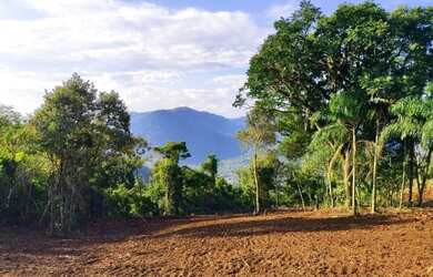 Imagem 5: Sítio / Chácara para Venda em Nova Petrópolis, Arroio Paixão