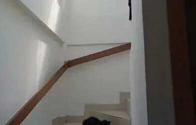 Imagem 12: Casa à Venda em Encruzilhada