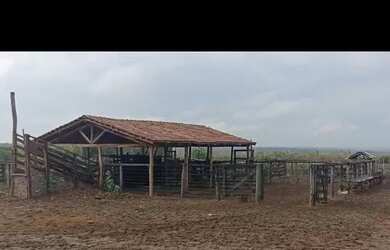 Imagem 9: Oportunidade Vende-se uma excelente fazenda de 2000 hectares