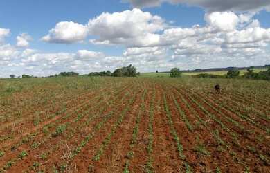 Imagem: A fazenda possui 340.000m² de Área Privada e está localizado