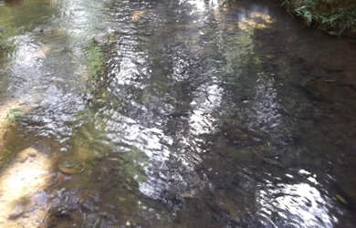 Imagem: O terreno está localizado em Jaboticatubas, MG à venda por
