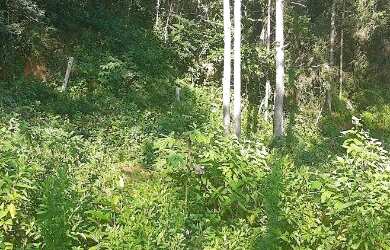 Imagem 3: Terreno Terreno / lote com venda por R$900.000