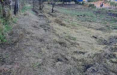 Imagem 3: Terreno 1000 METROS