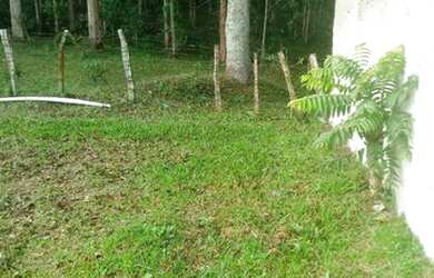 Imagem 4: Terreno registrado em Campina Grande do Sul 480m²