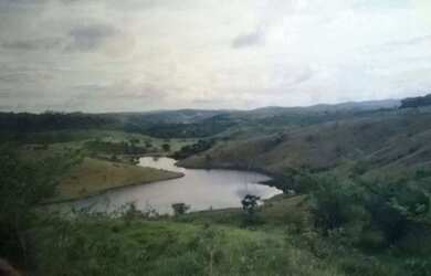 Imagem 9: Fazenda para venda. Com 1.419 ha em Jequitibá - Mundo Novo - BA