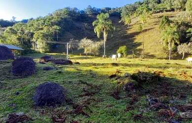 Imagem 8: SÍTIO EM ANGELINA/SC. 