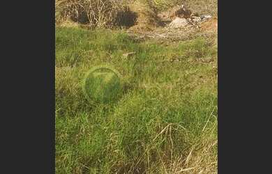 Imagem: O terreno à venda e está localizado em Parque Jandaia, Bauru