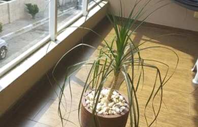 Imagem 3: Sobrado com 3 dormitórios à venda, 125 m² por R$ 532.000,00 - Jardim...