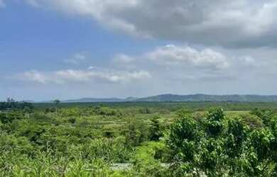 Imagem 6: Casa barra de guaratiba vista deslumbrante