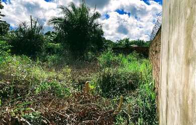 Imagem 5: Terreno no araçagy 02 lotes