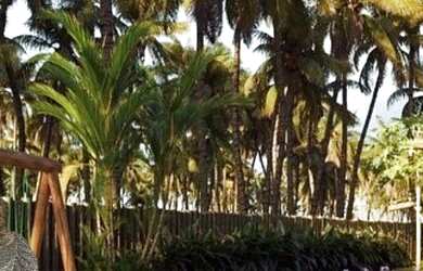 Imagem 6: Villa Carneiros Costa do Mar