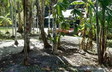 Imagem 9: Manaus Itacoatiara, AM 010 Km 32, Ramal Água Preta S/N