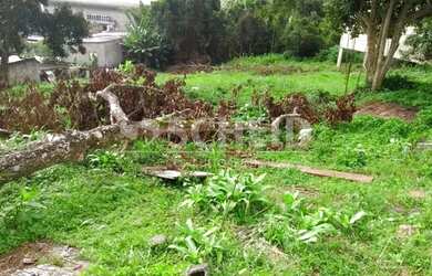 Imagem 9: Terreno a Venda Jardim Novo Parelheiros 768 m² escriturado