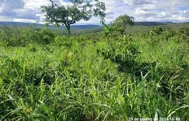 Imagem 6: Fazenda à venda, 376 hectares,com minerio de ferro, Salinas - MG