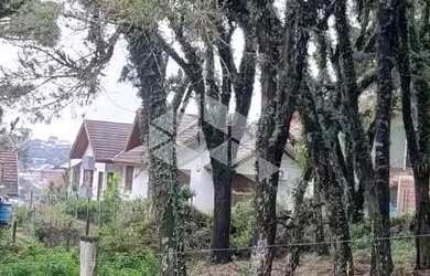 Imagem 8: terrebo de esquina com 1084m² Canela