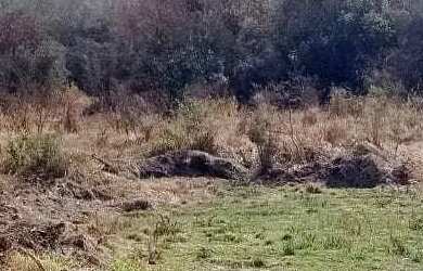 Imagem: O terreno possui 6.600m² de Área e está localizado em São