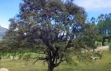 Imagem: O terreno possui 387m² de Área e está localizado em Centro