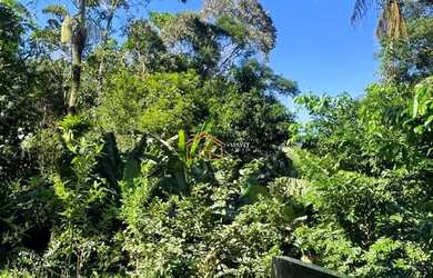 Imagem 15: Seu Paraíso Particular a 5 minutos do Centro de Garuva