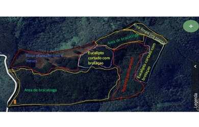 Imagem: A chácara está localizado em Jardim Social, Campo Largo à