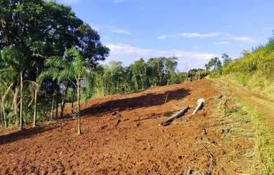 Imagem 4: Sítio / Chácara para Venda em Nova Petrópolis, Arroio Paixão