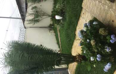 Imagem: Excelentes quartos mobiliados Ipanema 3/4 Próximo Universidade