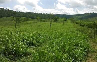 Imagem 8: Fazenda para venda. Com 1.419 ha em Jequitibá - Mundo Novo - BA