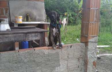 Imagem 2: Vendo uma casa. 10m² de Área