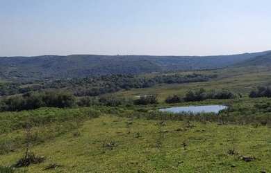 Imagem 4: EMICREI VENDE 900 hectares em Palma para pecuária , planta em sua plenitude...